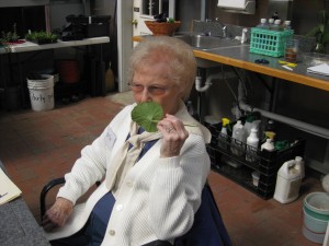 AbilityGardenolderadult