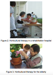 These illustrations are drawn from Masahiro Toyoda’s online text.