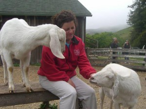 Leslie Jensen with some of Elkus Ranch's goats. 