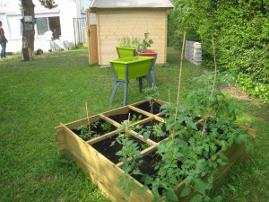 Garden shed, planters and square foot gardening.