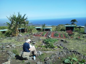 A student journals in the Nalu garden.