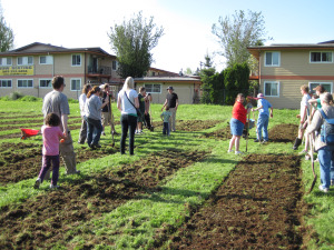 In the spring of 2012, thirty people came out to help start the garden. Stimulating interest over time is more difficult (photo credit outgrowing Hunger)