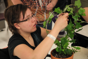 « For Valentine's Day, we made topiaries using ivy. We talked about the plant, bent the wire in the shape of a heart. This is a fun activity and participants can offer it to someone. »