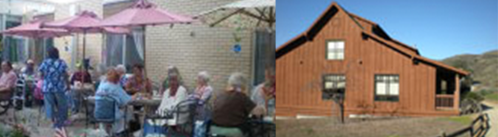 2010 Summer Newsletter