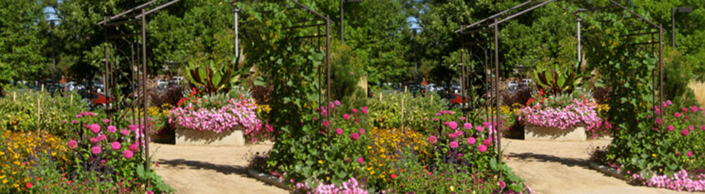 2011 Fall Newsletter