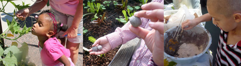 2012 Fall Newsletter
