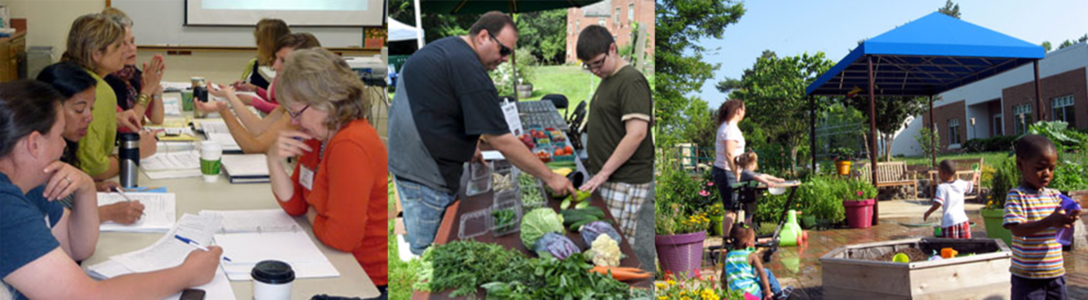 2012 Summer Newsletter