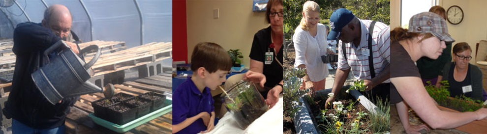 2013 Spring Newsletter