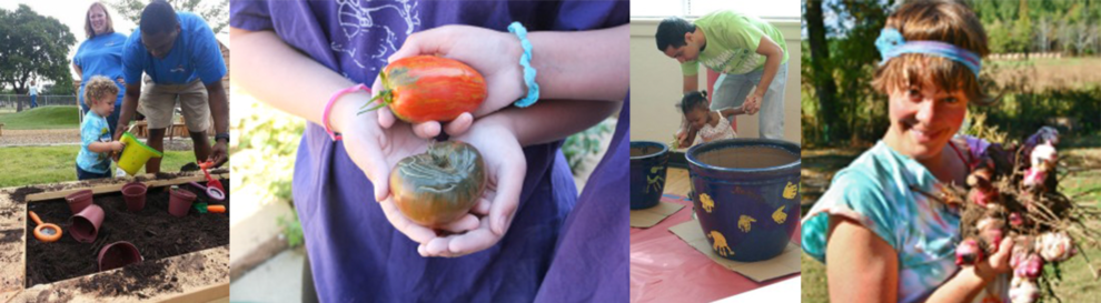 2014 Fall Newsletter