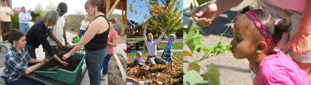 2014 Summer Newsletter