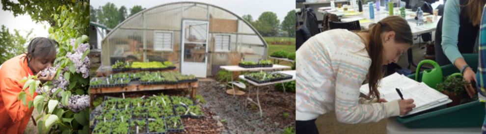 2015 Spring Newsletter