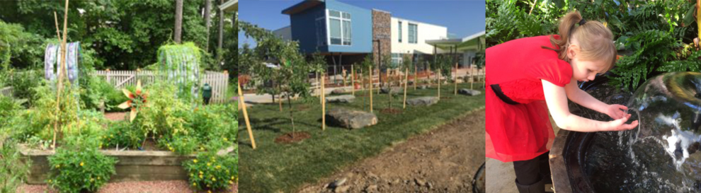 2017 Summer Newsletter