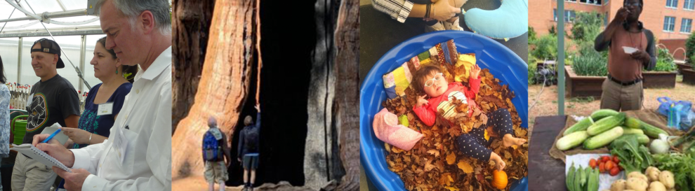 2019 Summer Newsletter