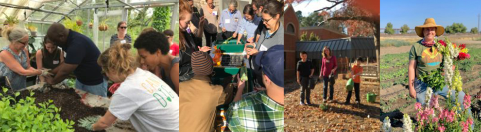 2020 Spring Newsletter