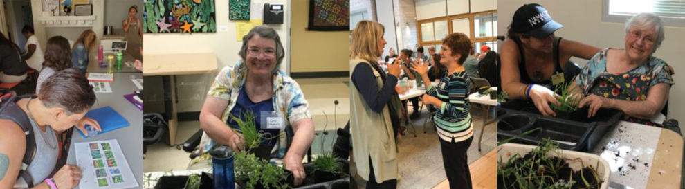 2020 Summer Newsletter
