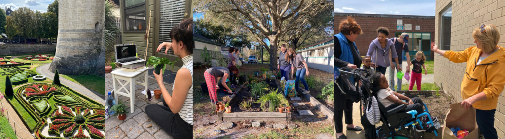 Fall Institute Program 2022 Fall Newsletter - Horticultural Therapy Institute