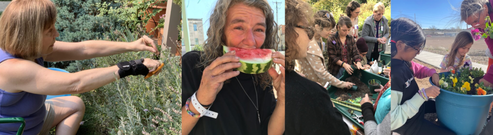 2023 Summer Newsletter