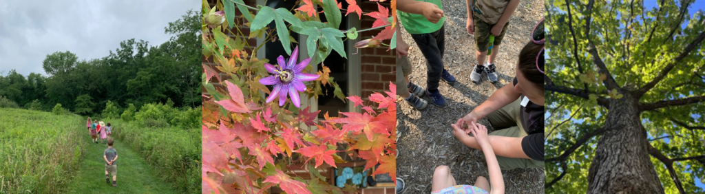 Fall Institute Program 2023 Fall Newsletter - Horticultural Therapy Institute
