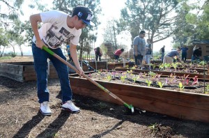 Students at CSU Fresno